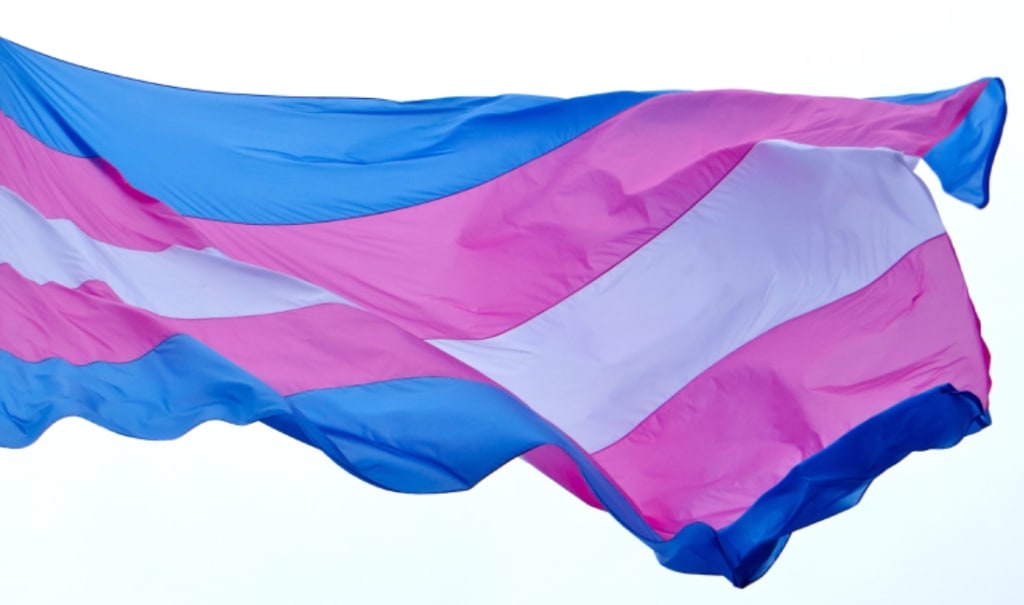 The Struggle of Being Trans and African The Struggle of Being Trans and African