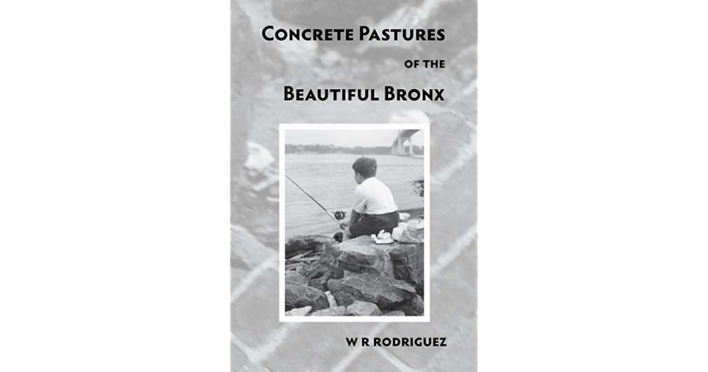 W. R. Rodriquez's Words Guide Readers Through the Beautiful Bronx W. R. Rodriquez's Words Guide Readers Through the Beautiful Bronx