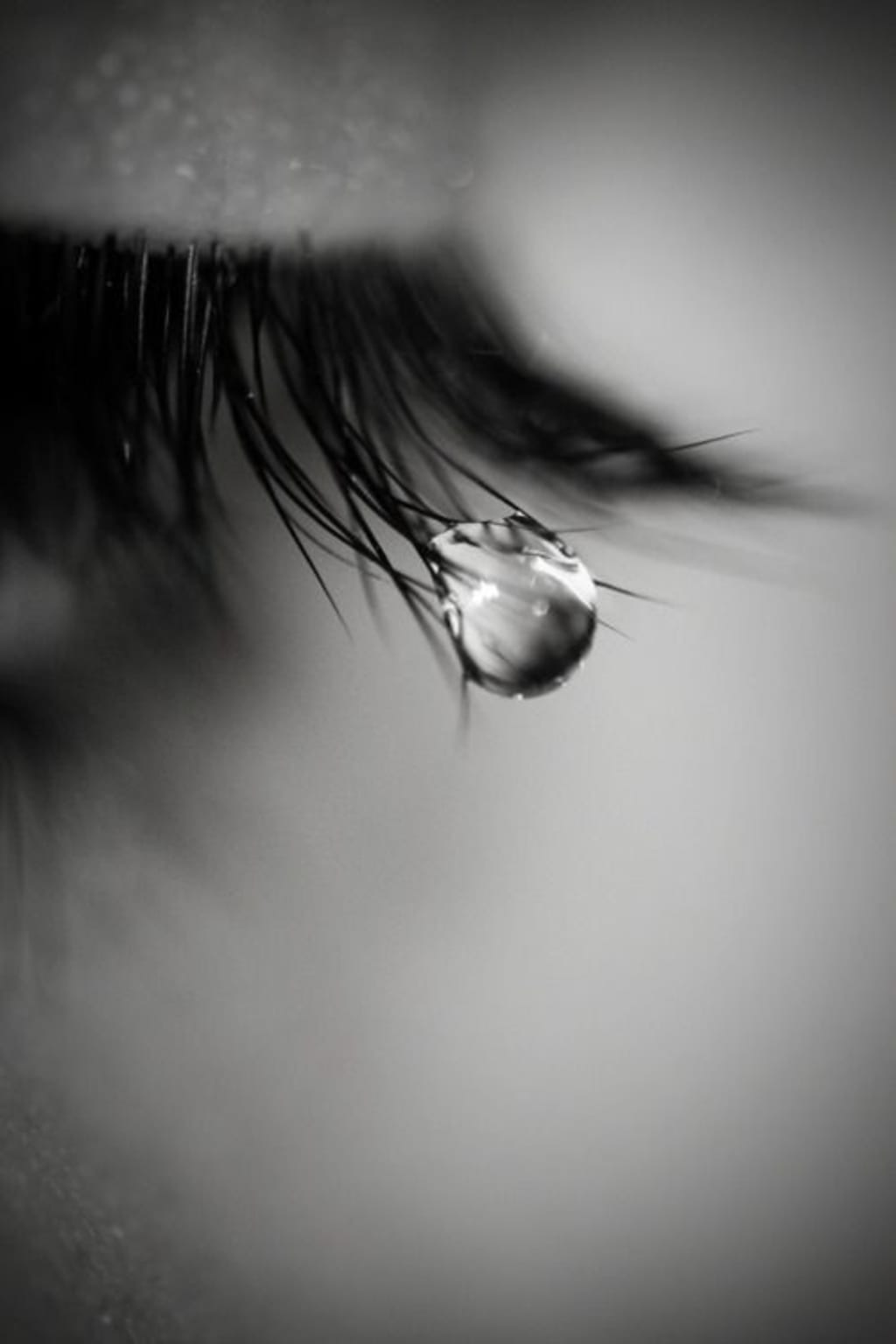 Through Dad's Eyes Through Dad's Eyes