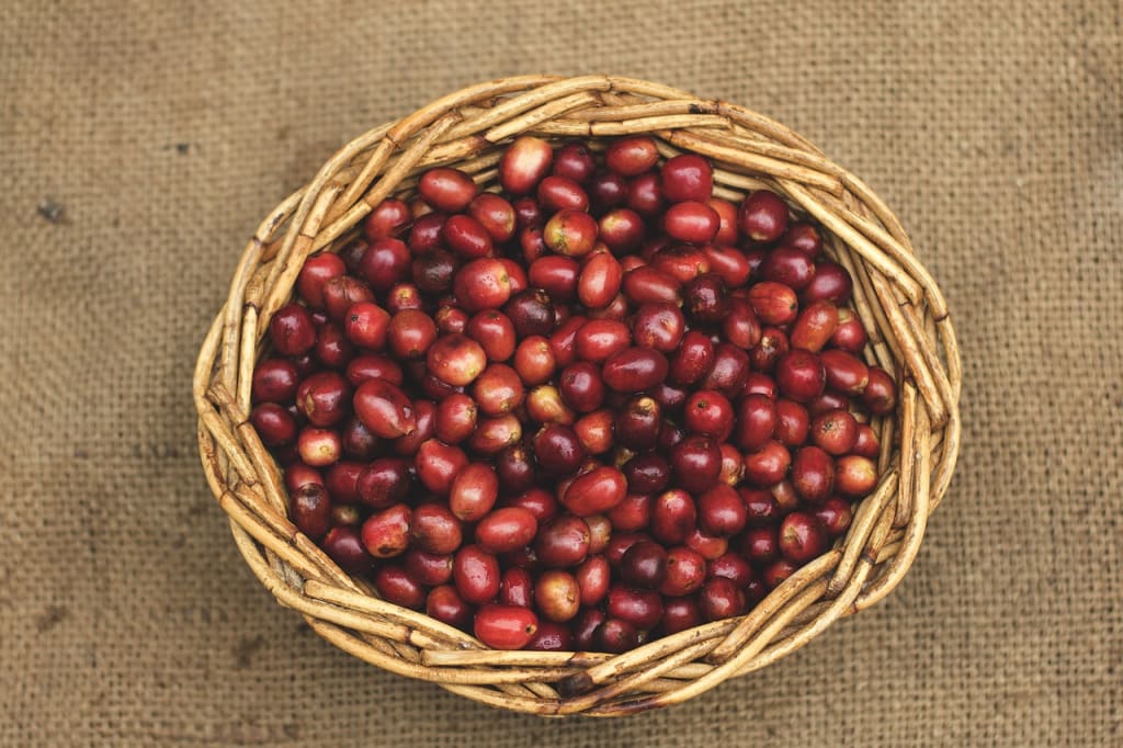Five Reasons to Drink Organic Coffee Five Reasons to Drink Organic Coffee