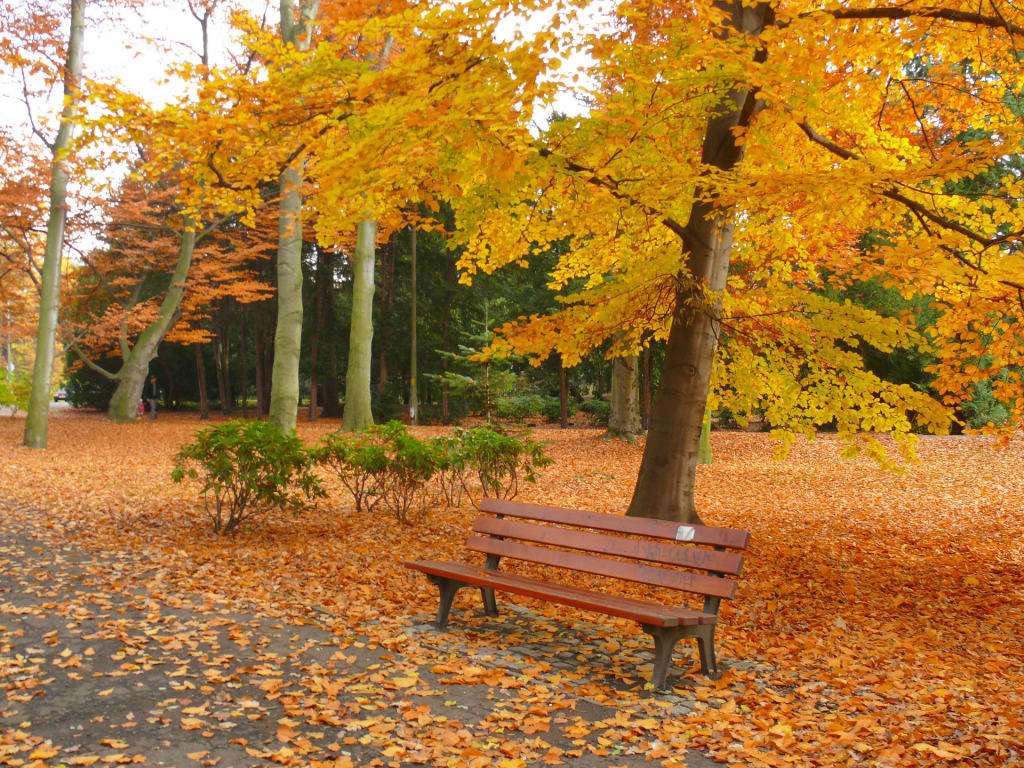 The Fall The Fall