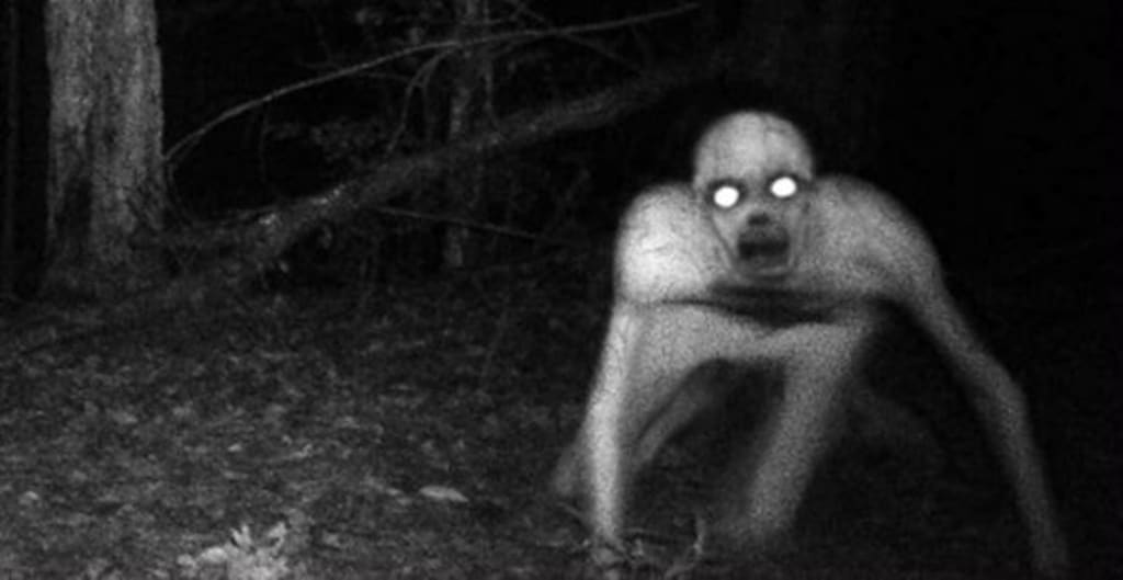 Weirdest Creatures Ever Caught on Camera Weirdest Creatures Ever Caught on Camera