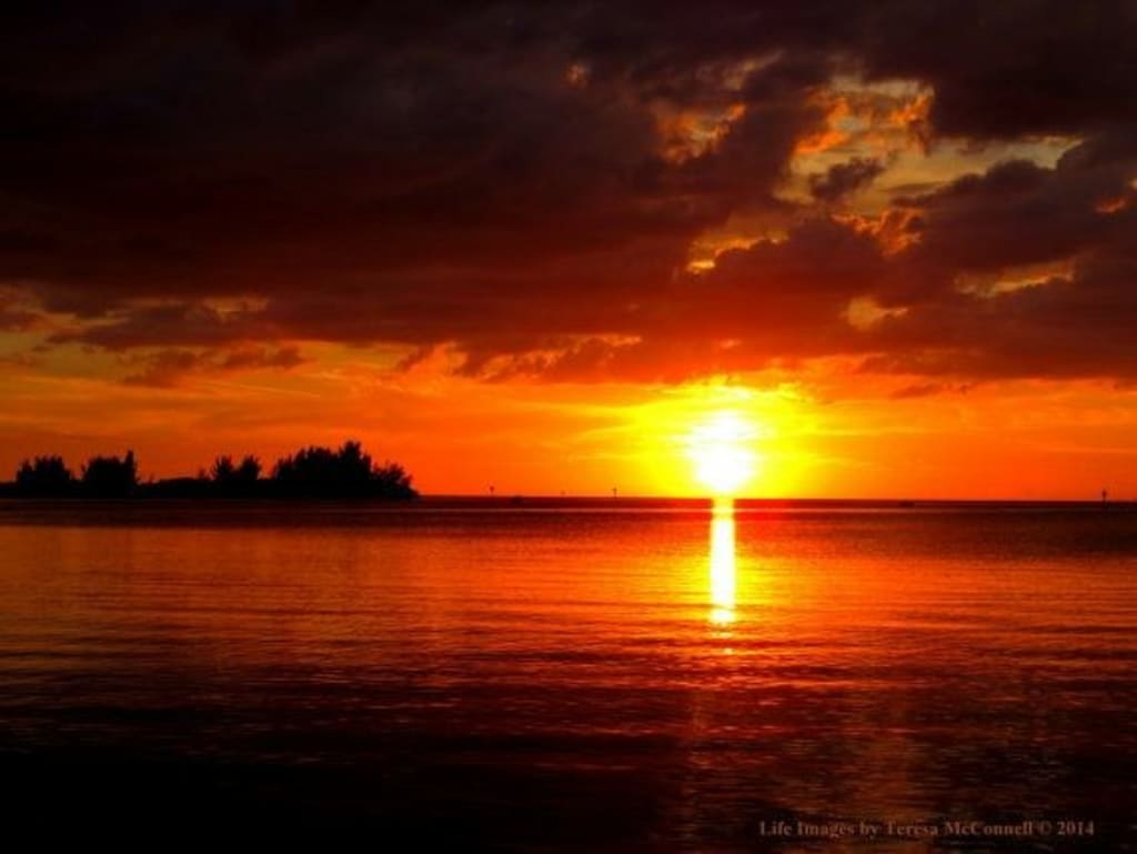 See The Light See The Light