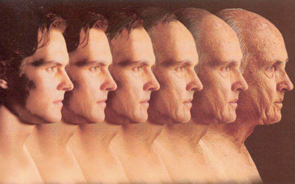 Behaving Like a Normal Homo Sapien Behaving Like a Normal Homo Sapien
