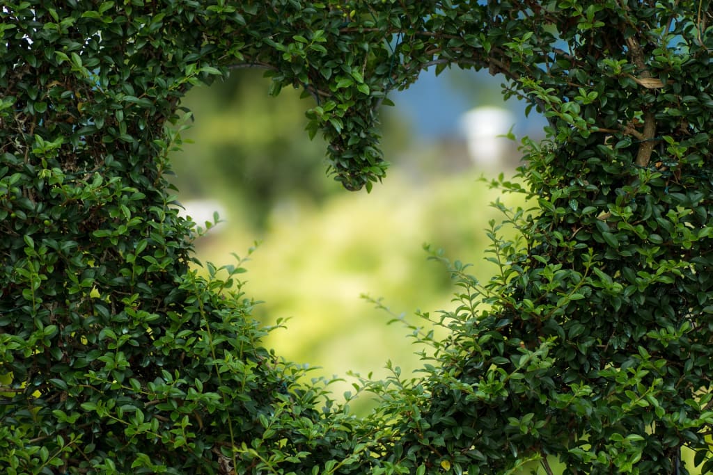 Establish Clarity & Focus In Love Relationships Establish Clarity & Focus In Love Relationships