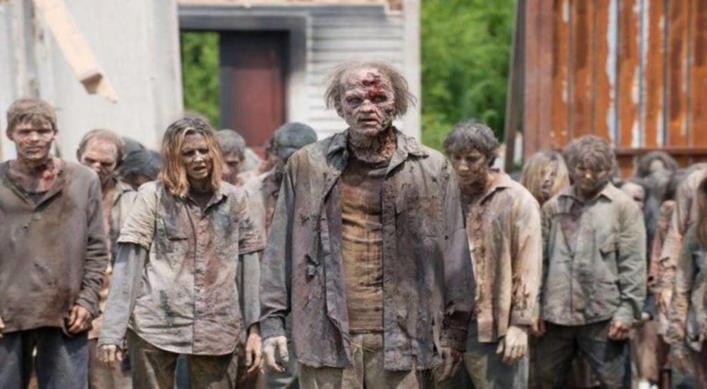 A Guide for the Different Zombies A Guide for the Different Zombies