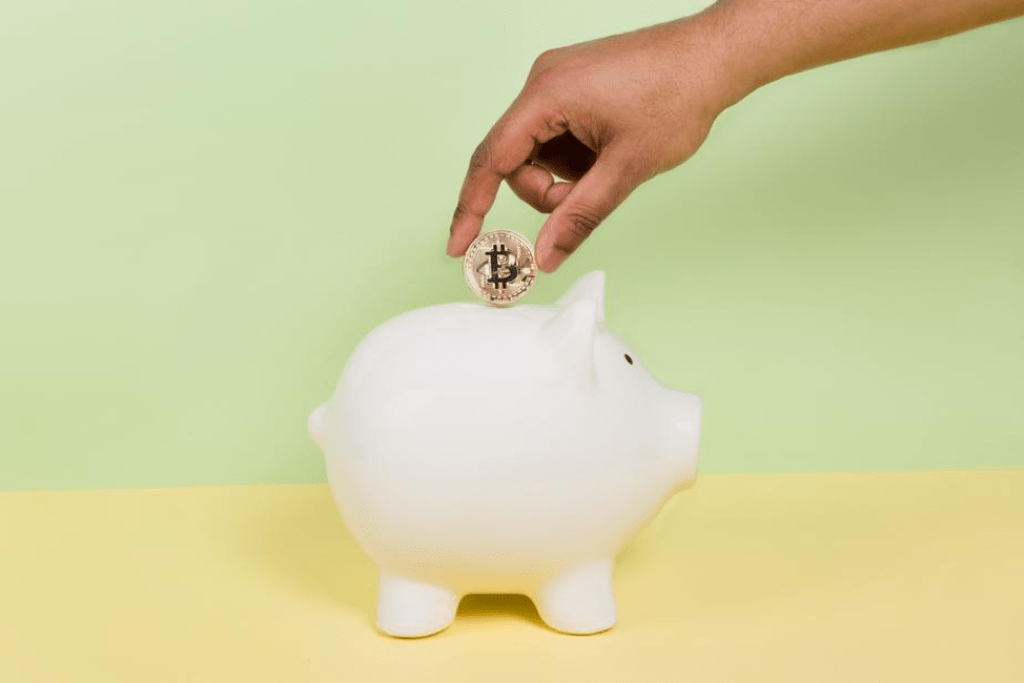 How to Know If You’re Investing in a Bad ICO How to Know If You’re Investing in a Bad ICO