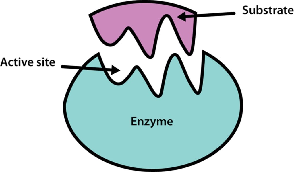 Simple Science Simple Science