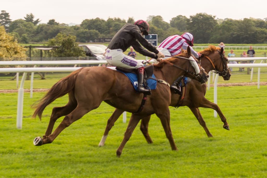 Famous Racehorses Throughout the Years! Famous Racehorses Throughout the Years!