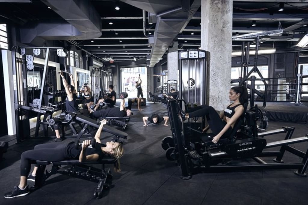Conquering the Gym Conquering the Gym