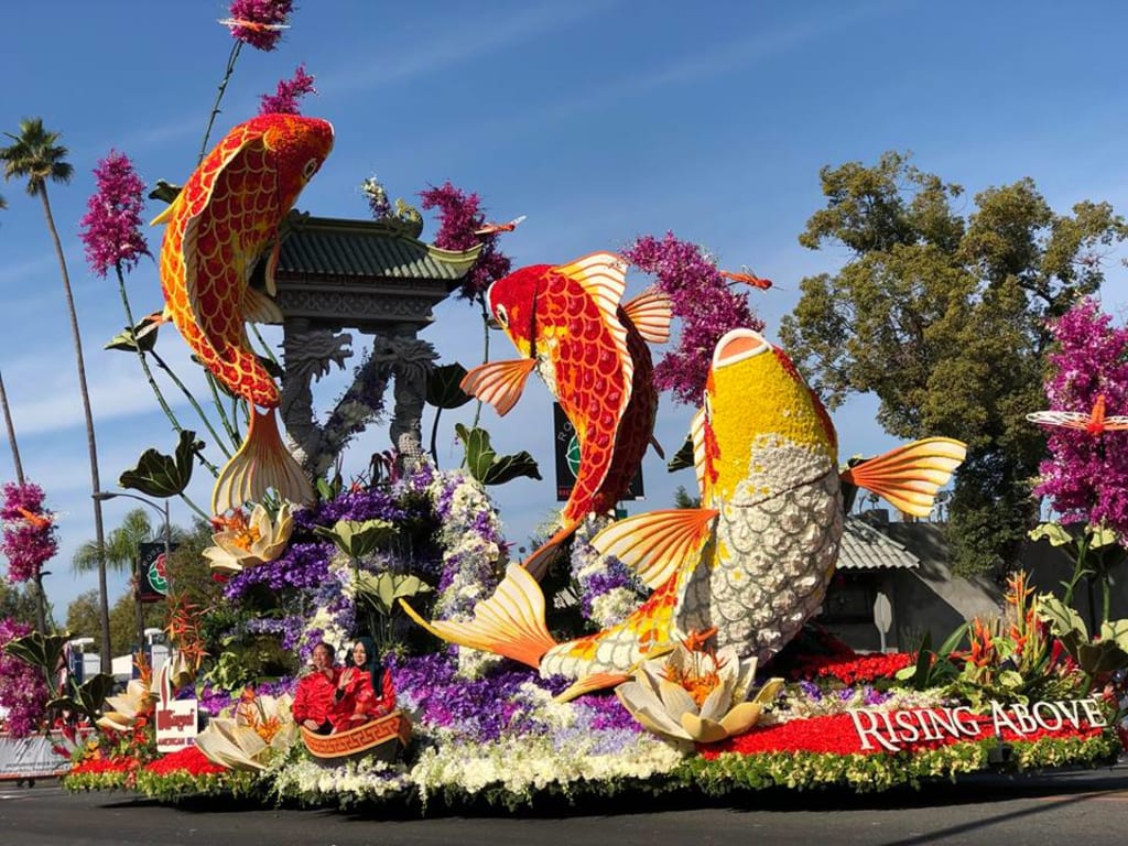 Why You Should Go to the Rose Parade Why You Should Go to the Rose Parade