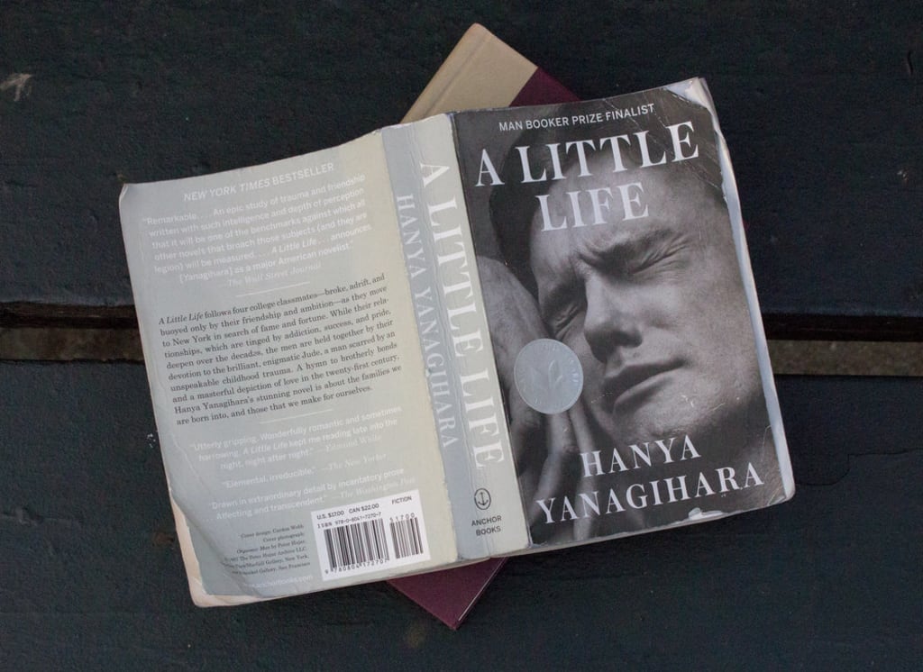 Reading A Little Life