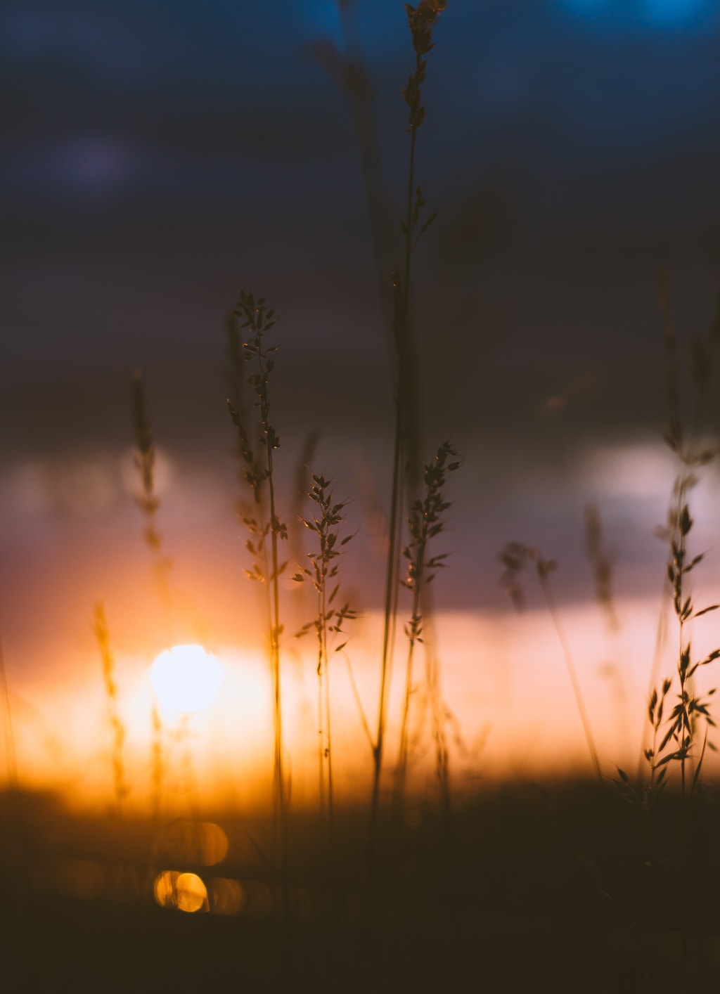 Petrichor: Chapter 12 Petrichor: Chapter 12