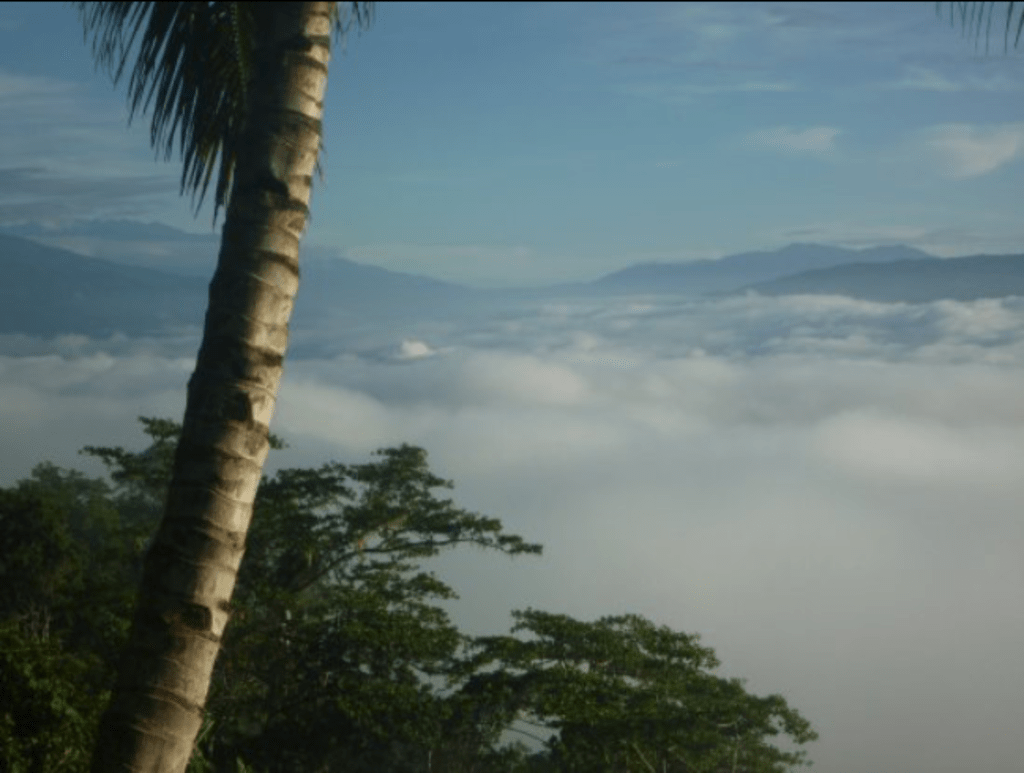 Paradise: Papua New Guinea Paradise: Papua New Guinea