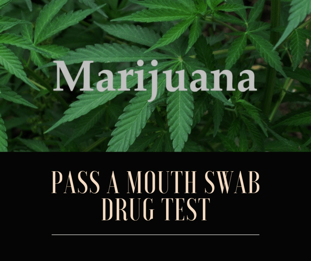 How to Pass a Mouth Swab Drug Test Within 12 Hours How to Pass a Mouth Swab Drug Test Within 12 Hours