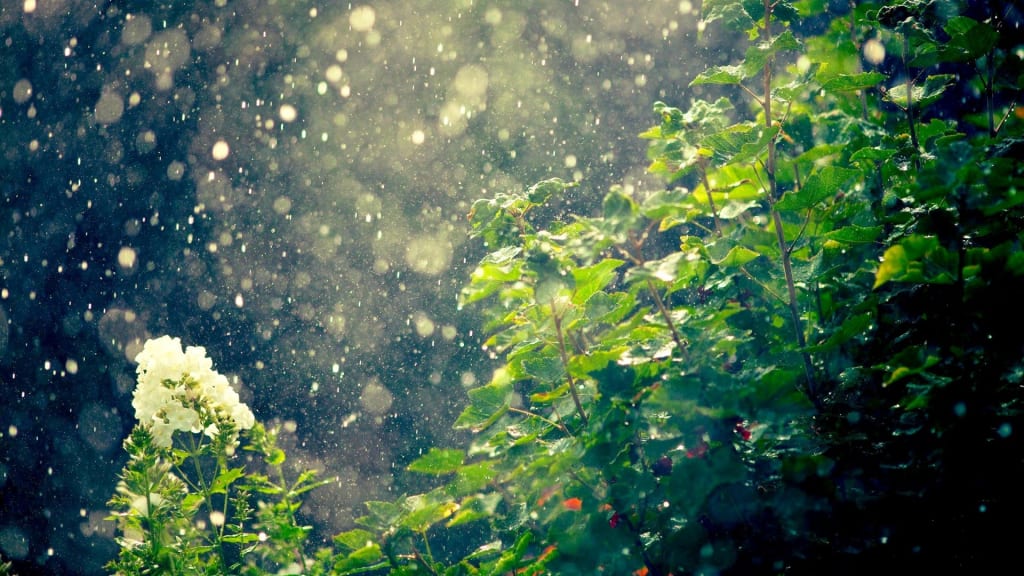 Rain Rain