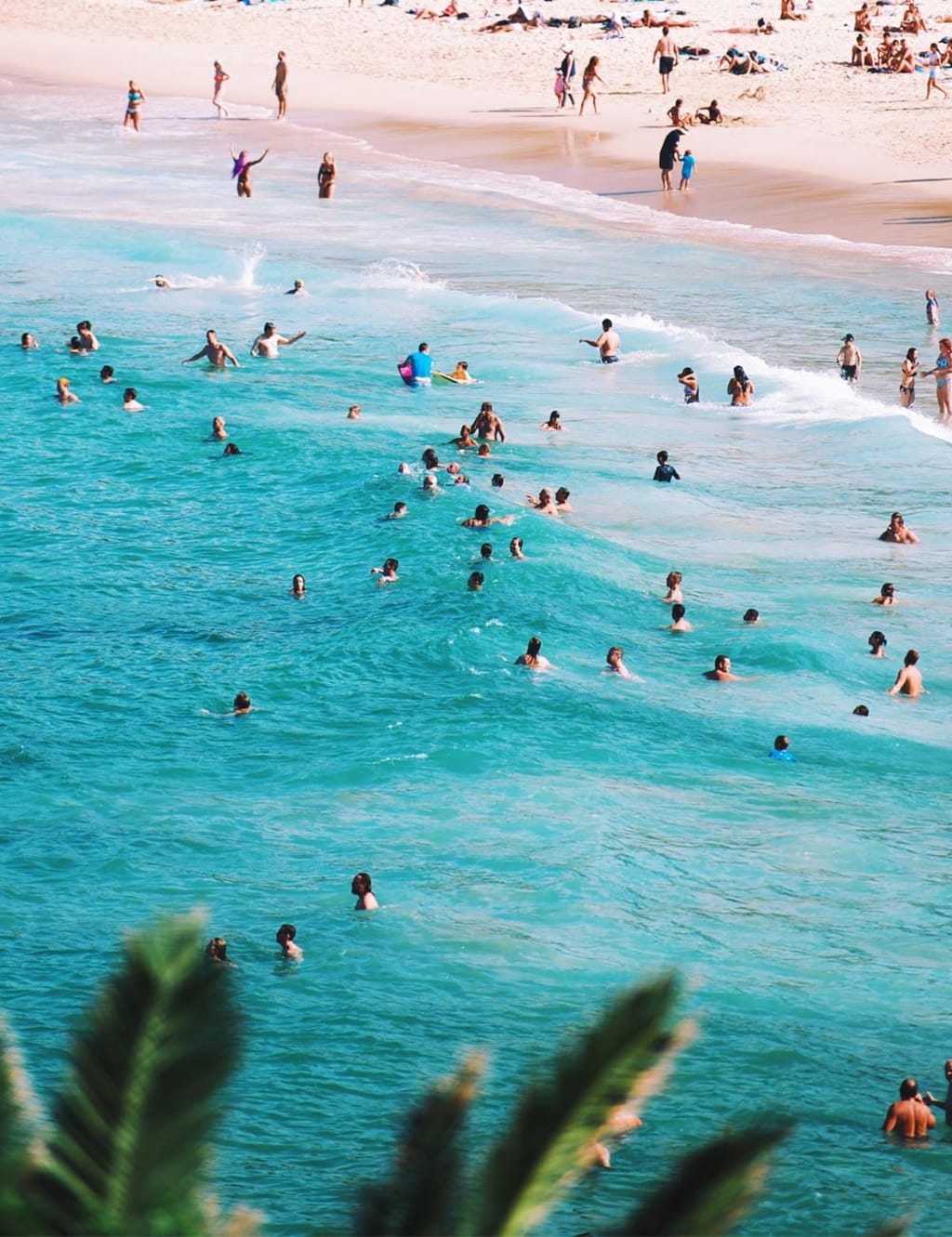 Everybody Has a Beach Body Everybody Has a Beach Body