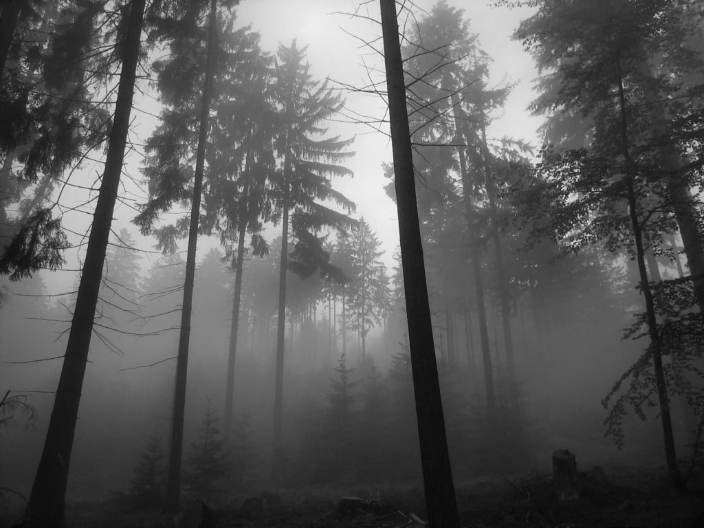 The Nature of Loss The Nature of Loss