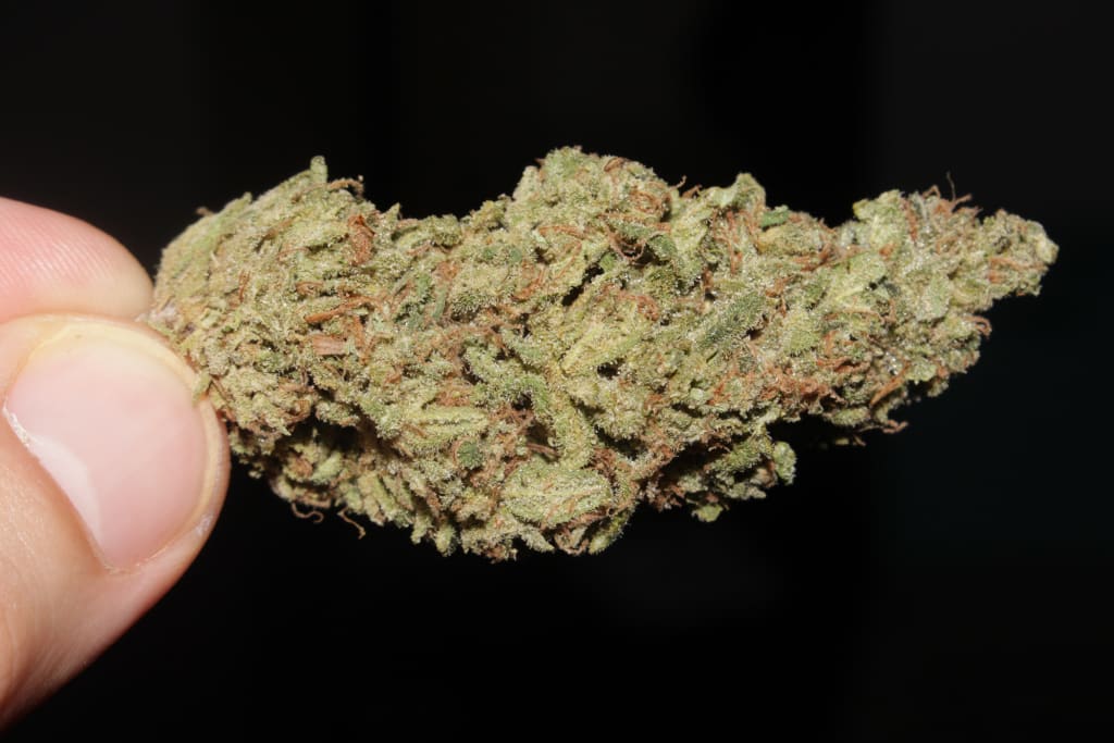 The Future of Cannabis Testing Is Here The Future of Cannabis Testing Is Here