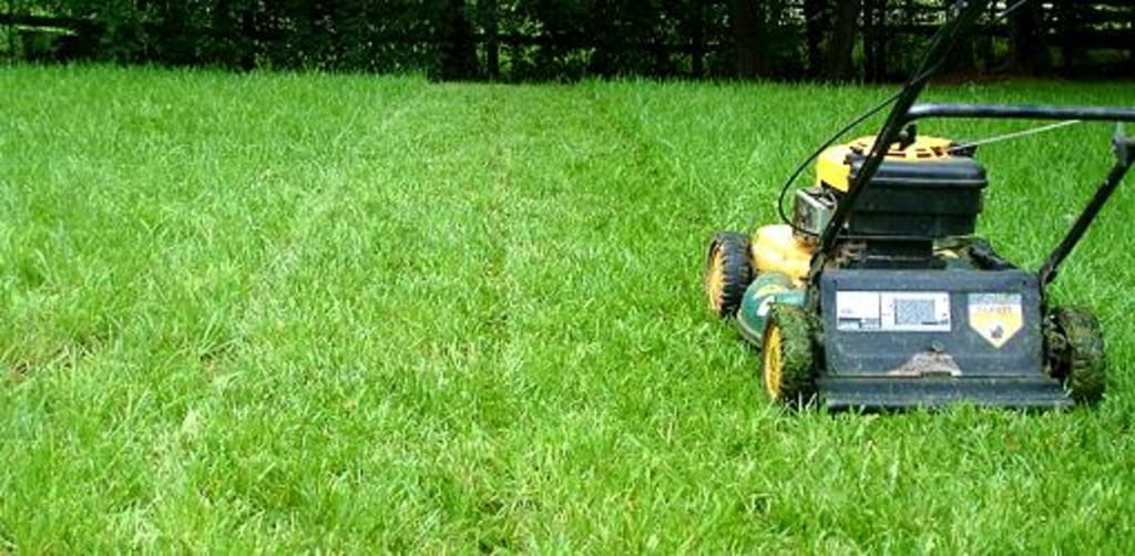 Tips for Summer Yard Maintenance Tips for Summer Yard Maintenance