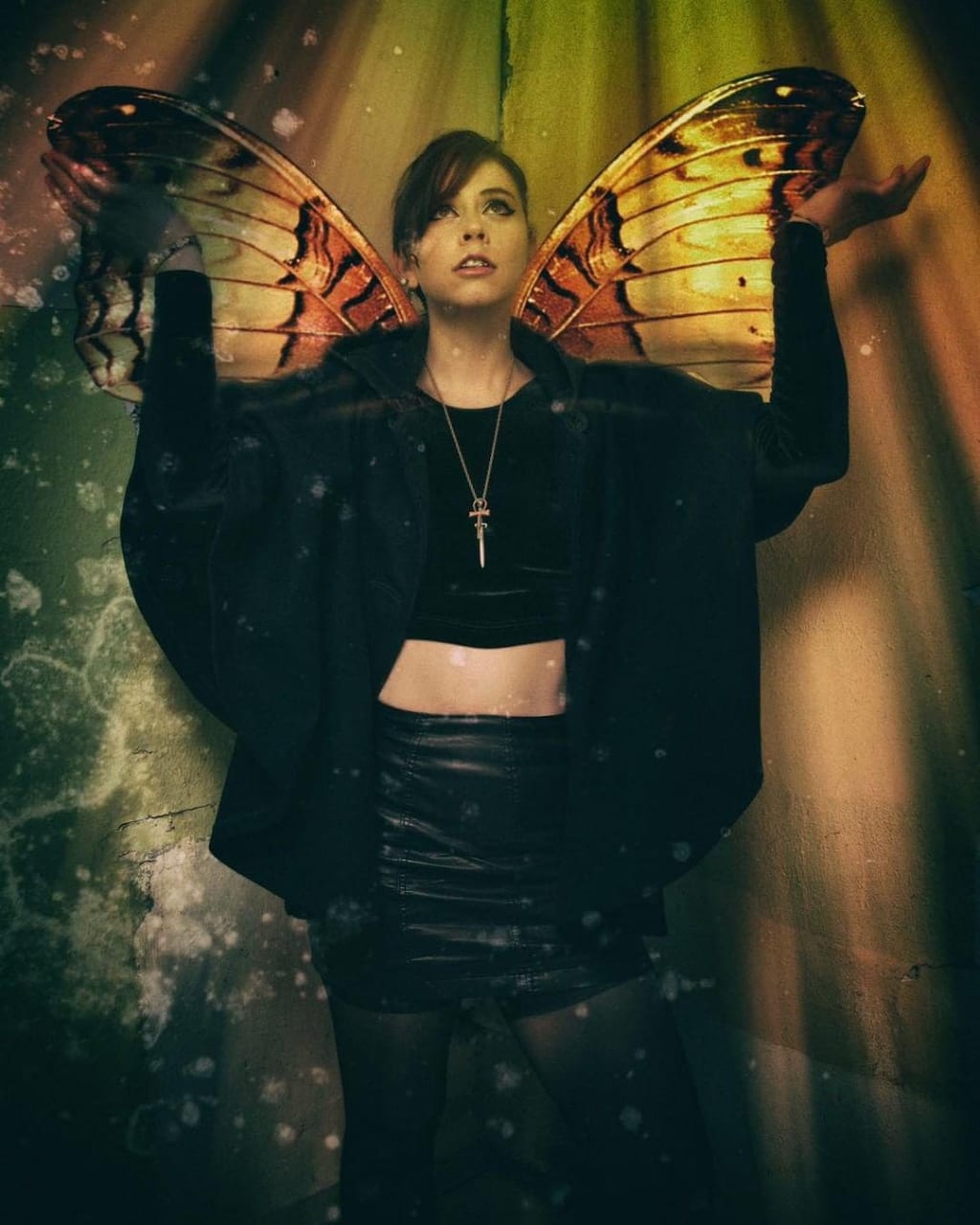 There's No Mercy for Butterflies There's No Mercy for Butterflies