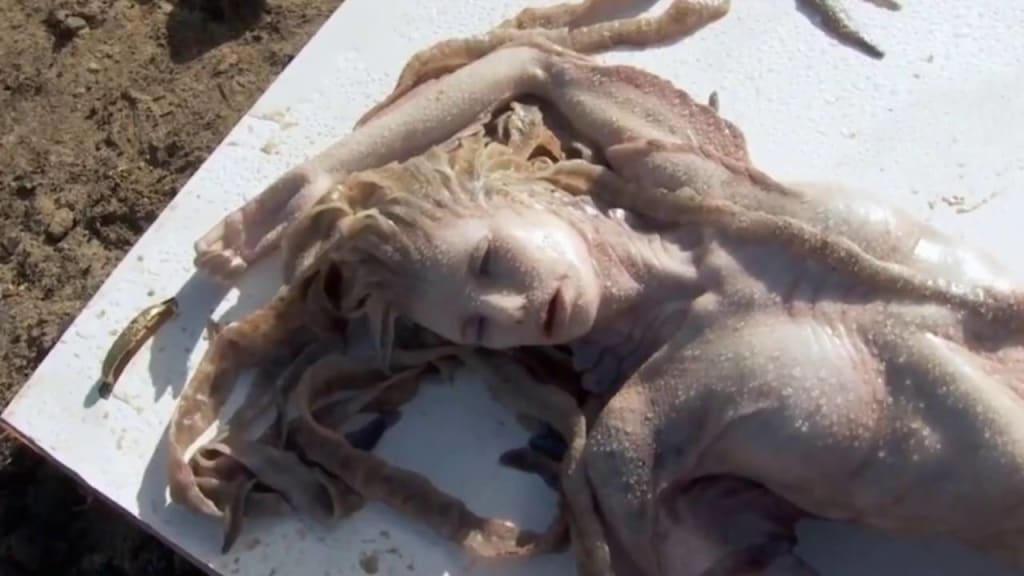 10 Legendary Aquatic Monsters You Don't Want to Meet 10 Legendary Aquatic Monsters You Don't Want to Meet