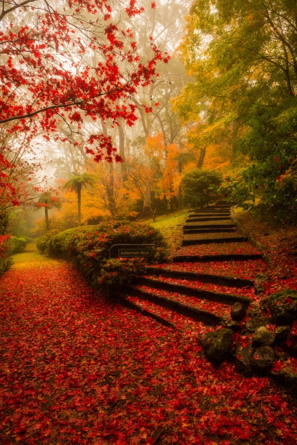 The Fall The Fall