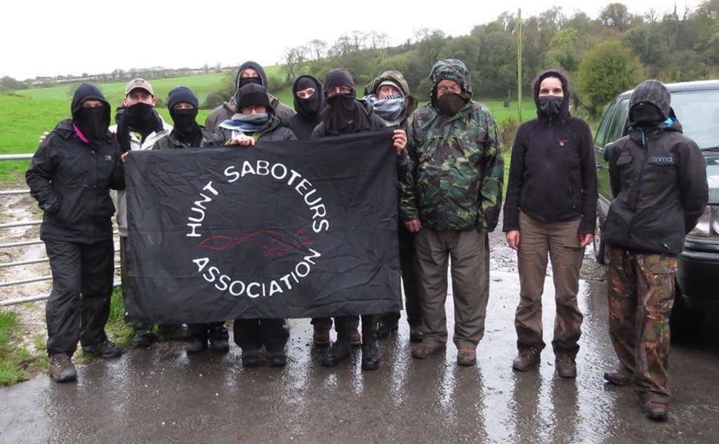 Hunt Saboteurs—the Masked Terrorists of the Countryside Hunt Saboteurs—the Masked Terrorists of the Countryside