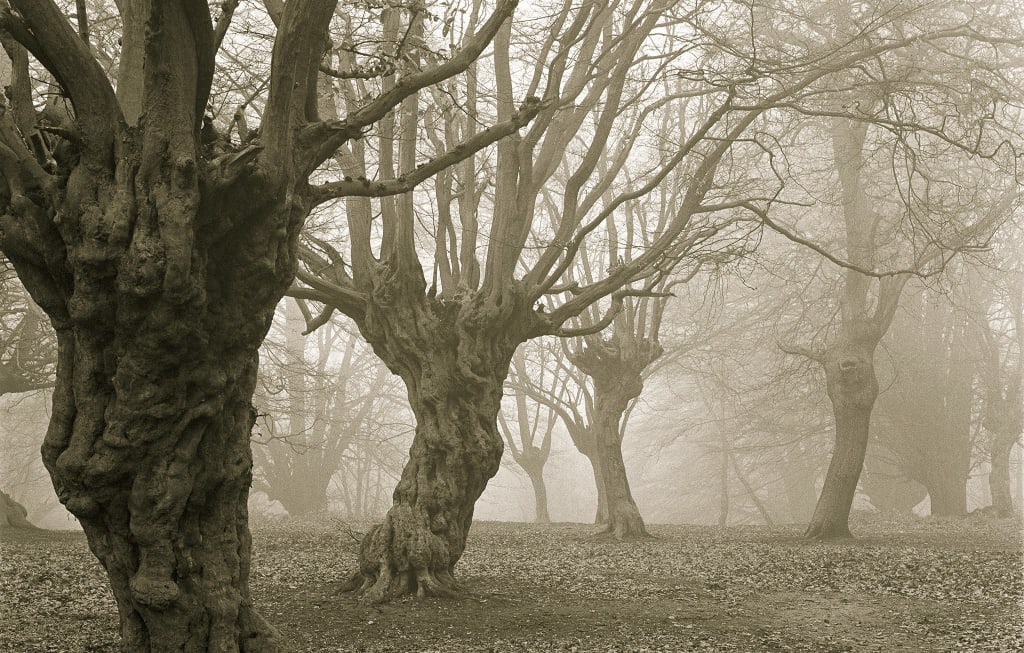 Paranormal Hotspots You Can Legally Visit Paranormal Hotspots You Can Legally Visit