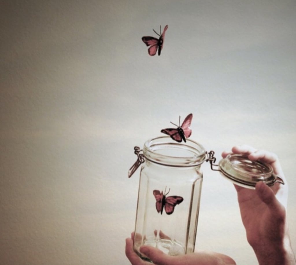 Set Me Free Set Me Free