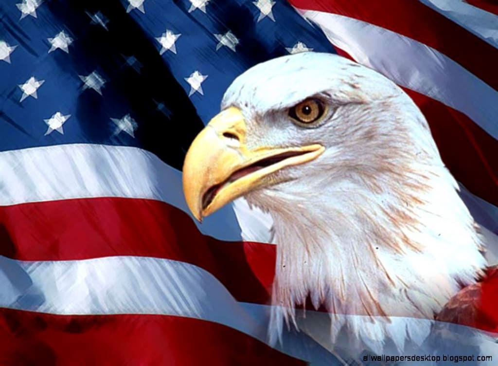 The Real United States of America The Real United States of America