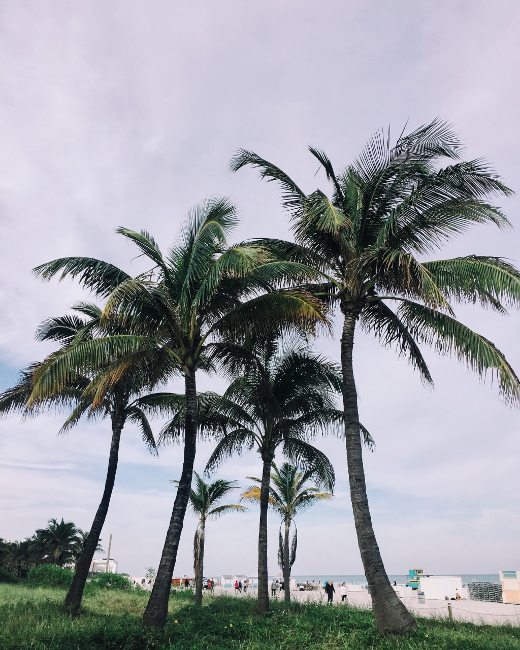Miami Miami
