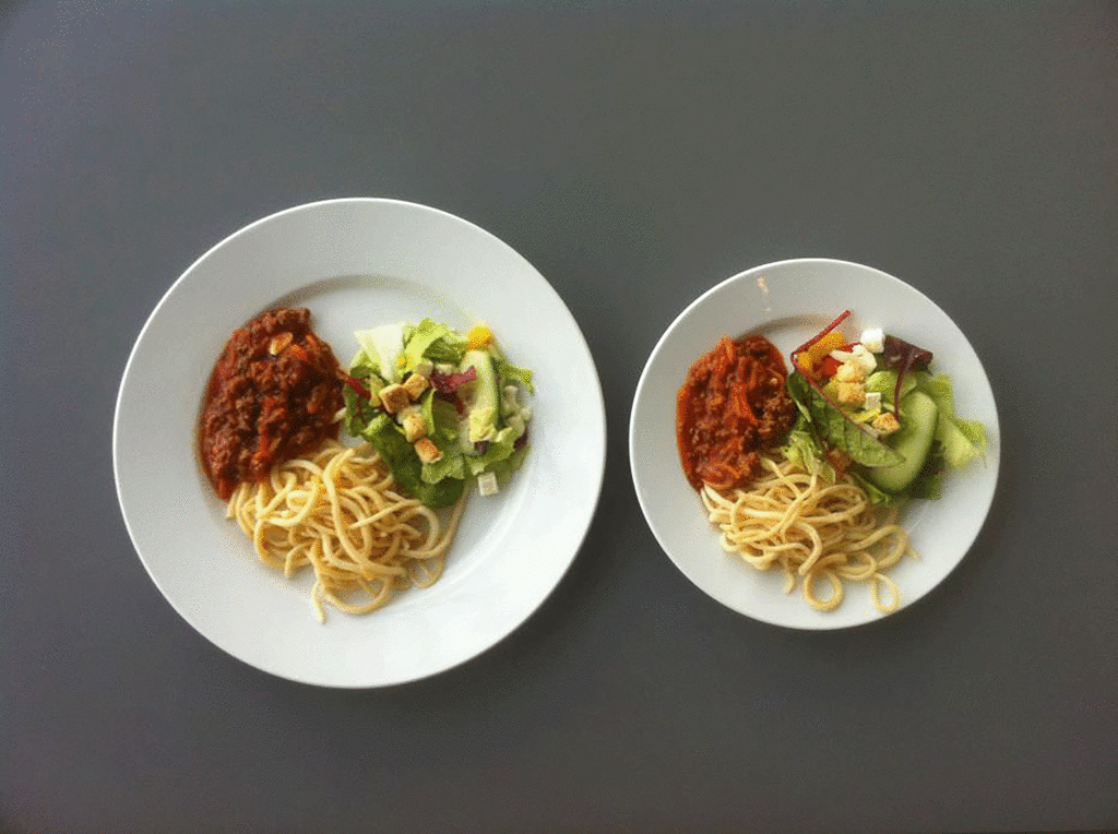 Meal Portion Control Tips Meal Portion Control Tips