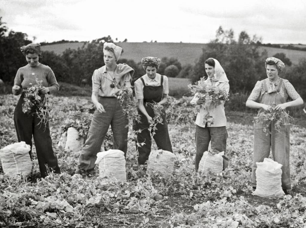 The Women's Land Army The Women's Land Army