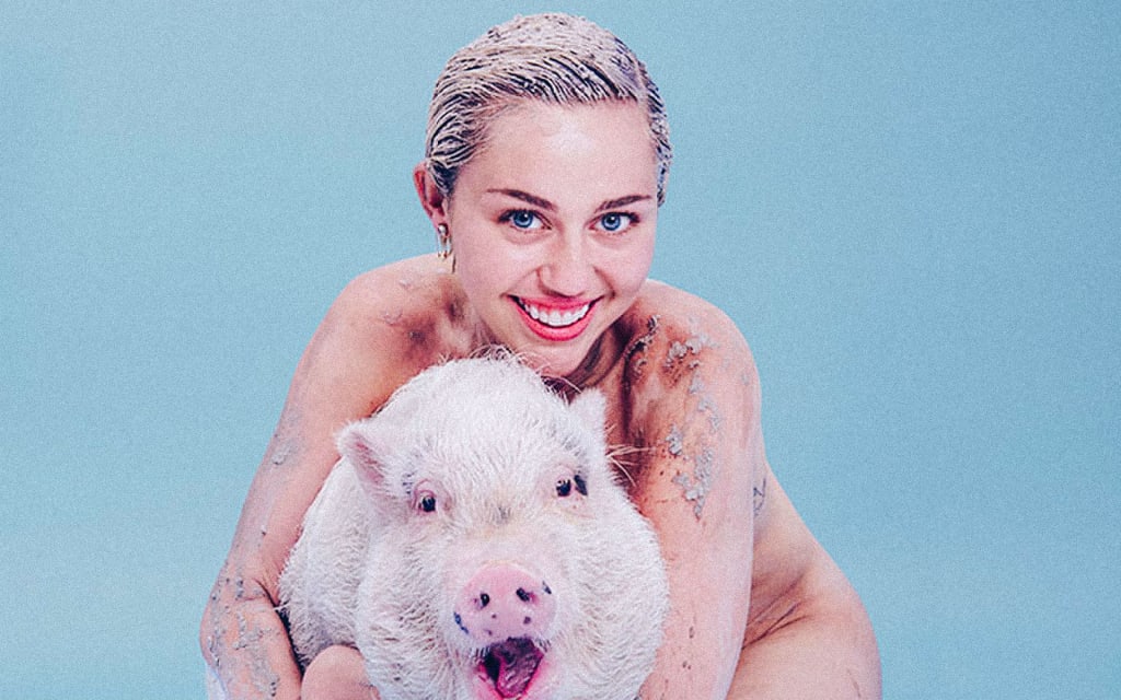 Celebrities Who Are Vegan Celebrities Who Are Vegan