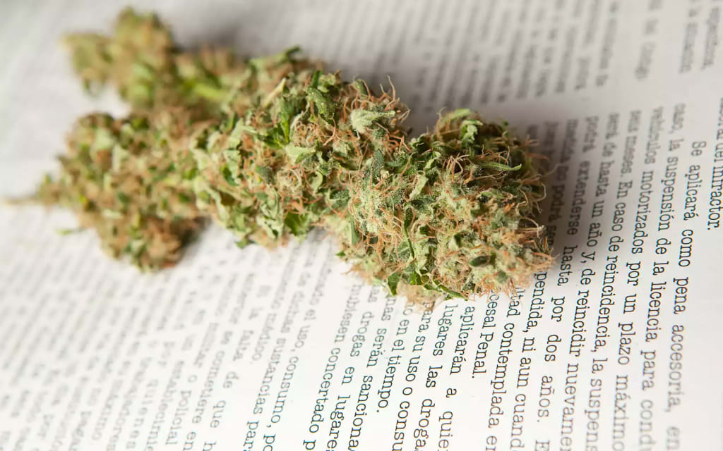 Frequently Asked Marijuana Questions Frequently Asked Marijuana Questions