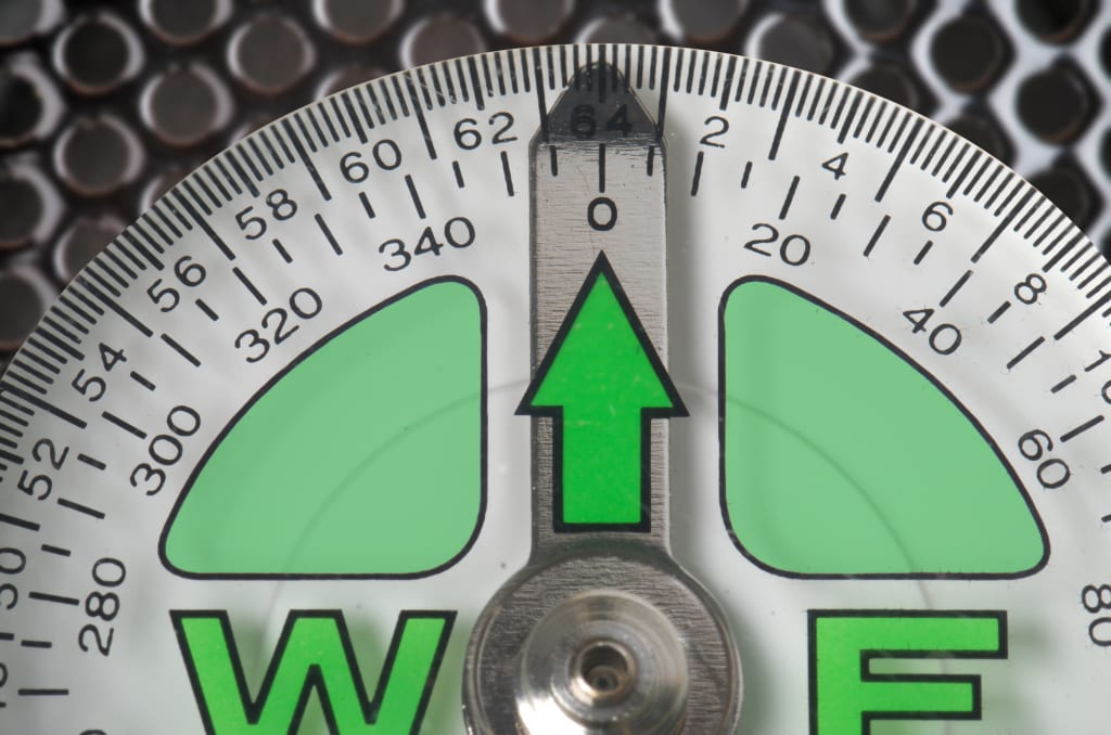 Why Diets Never Work Why Diets Never Work