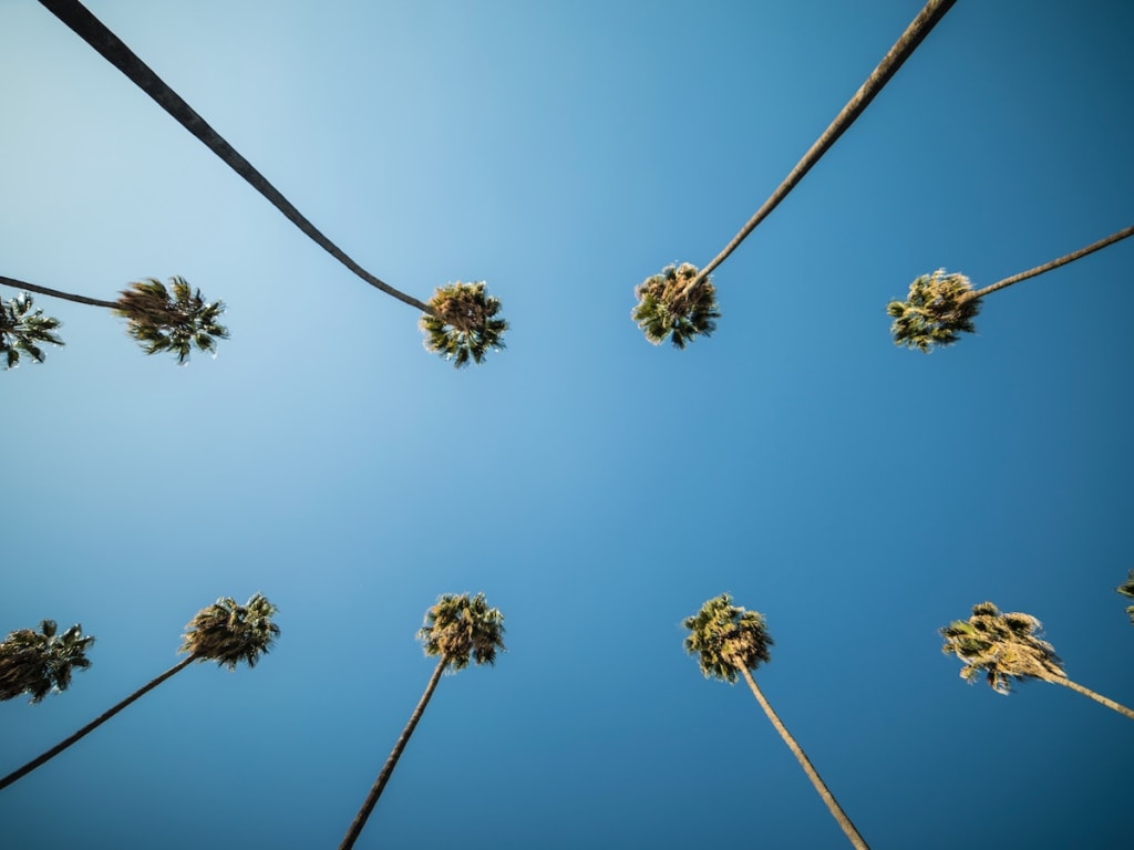 Why I Want to Run for Mayor of Los Angeles Why I Want to Run for Mayor of Los Angeles
