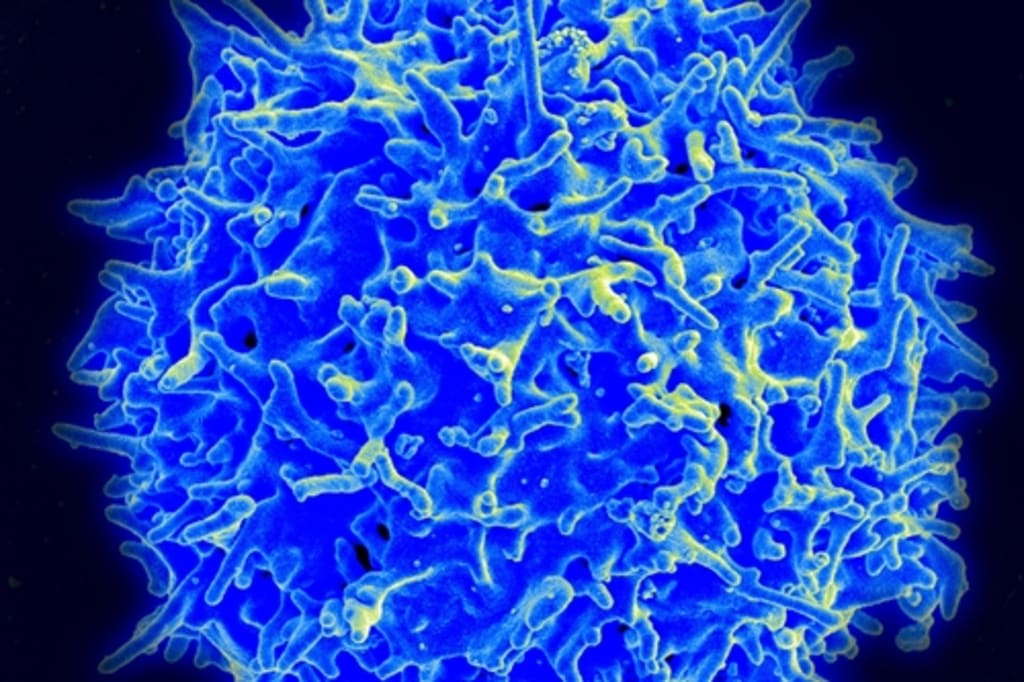 One Blood Test Fits All Diseases One Blood Test Fits All Diseases
