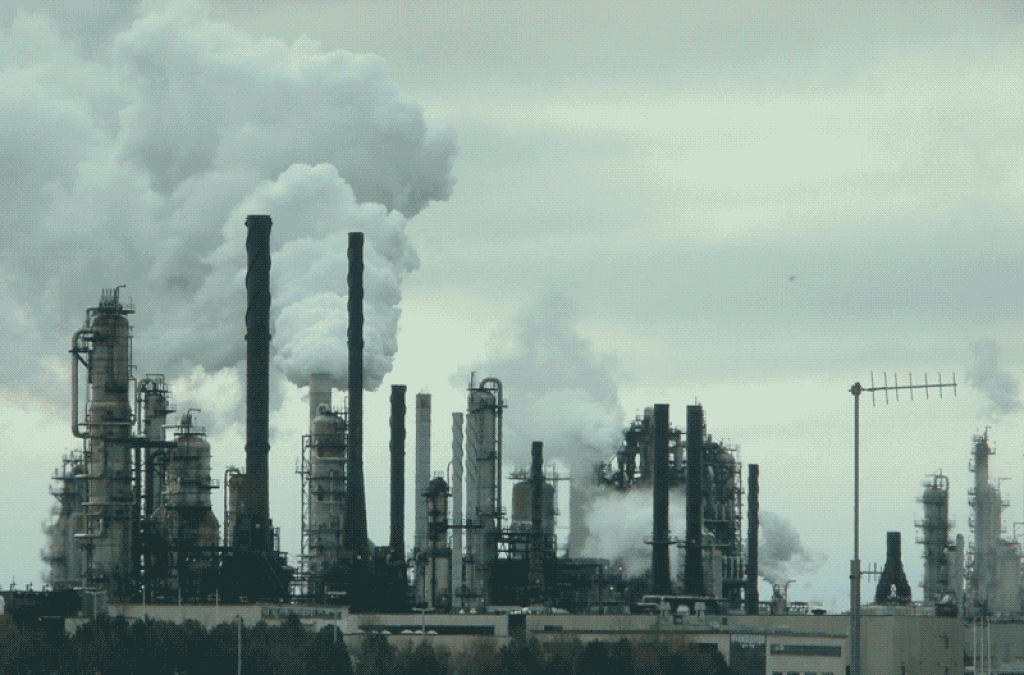 The Prognosis for Our Planet The Prognosis for Our Planet