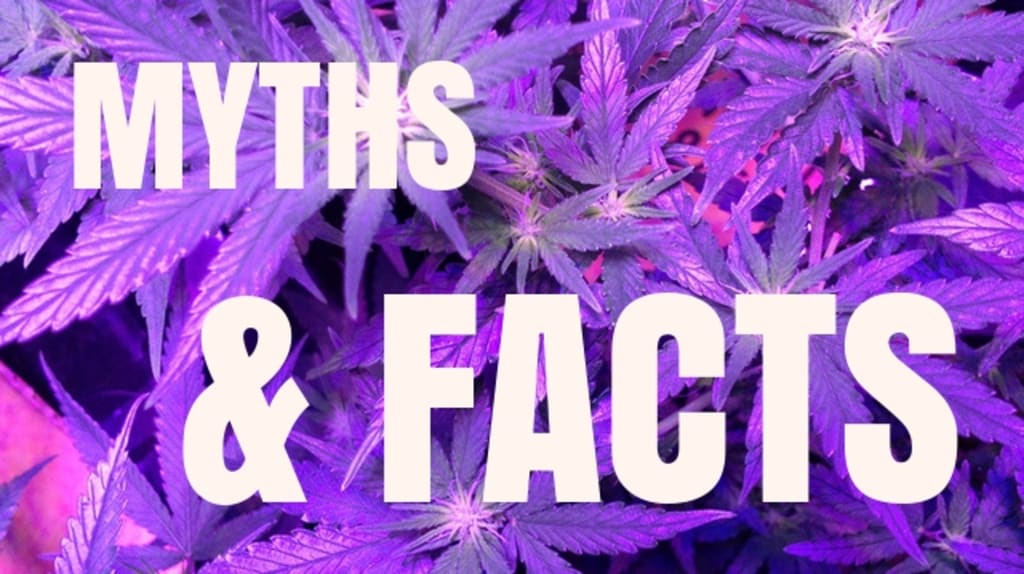 Myths and Facts About Cannabis Myths and Facts About Cannabis