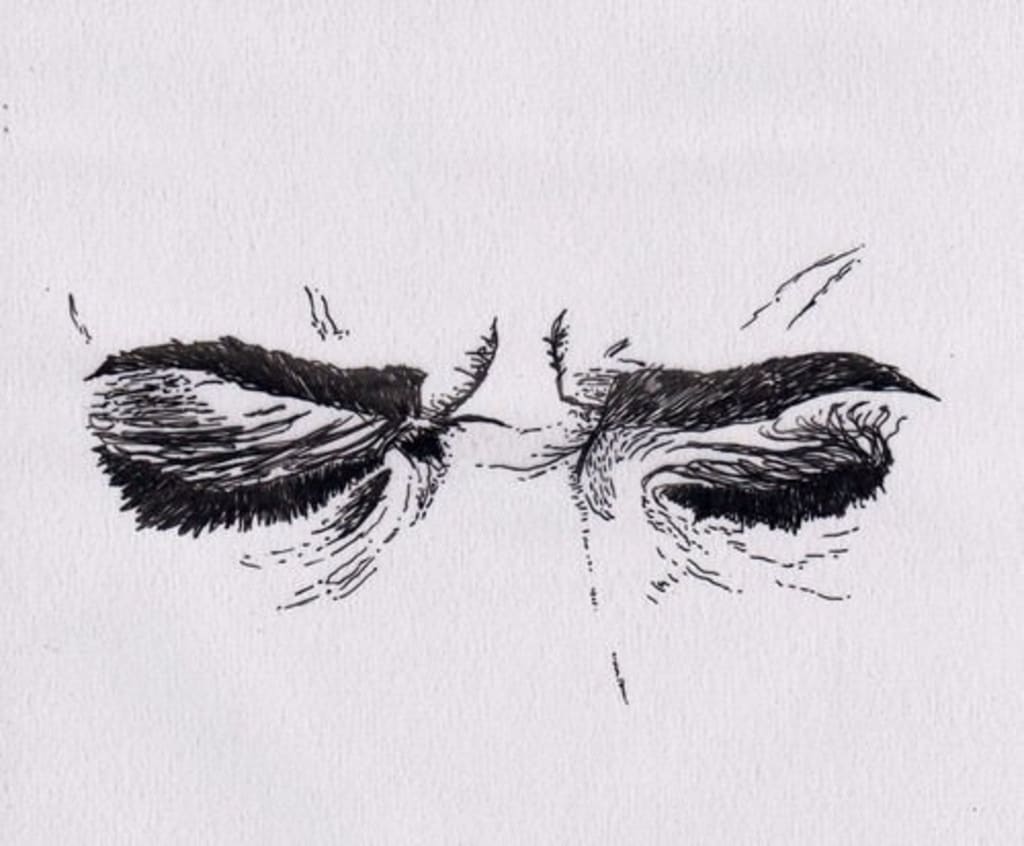 The Girl Who Lost Her Mother The Girl Who Lost Her Mother