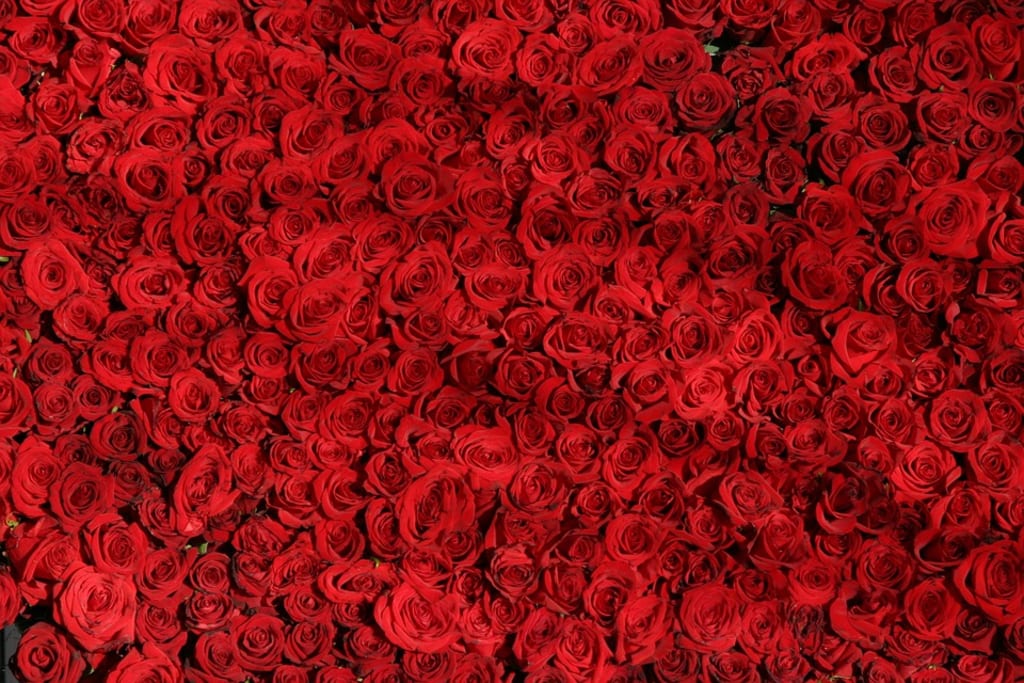 The Bachelor Franchise Has a Race Problem The Bachelor Franchise Has a Race Problem