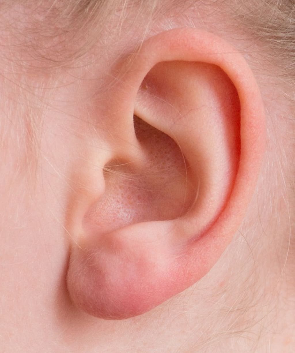 ASMR: What's This All About? ASMR: What's This All About?