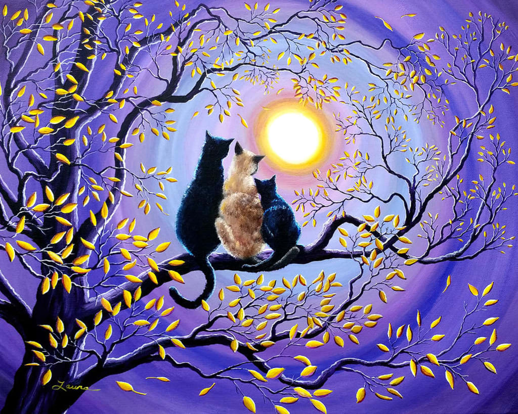 Moon Gazing Moon Gazing