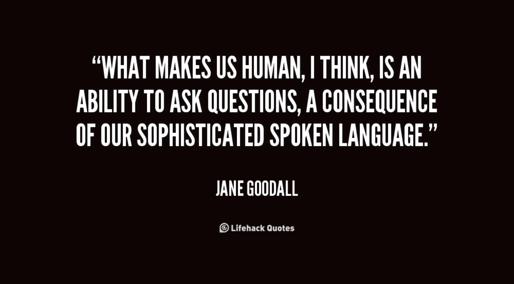 Language of Wonder Language of Wonder