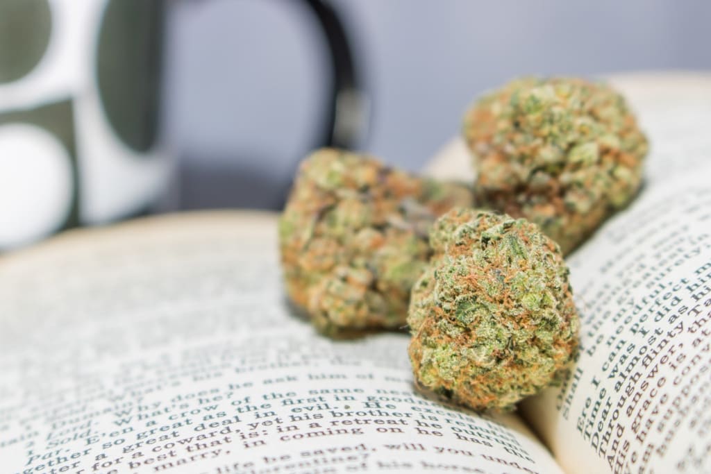 10 Classic Books About Cannabis Every Stoner Should Read 10 Classic Books About Cannabis Every Stoner Should Read
