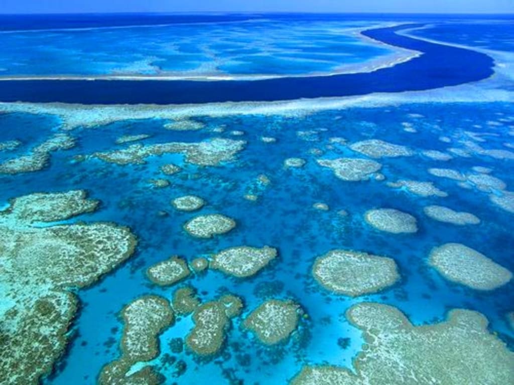 The Tragedy of the Great Barrier Reef The Tragedy of the Great Barrier Reef
