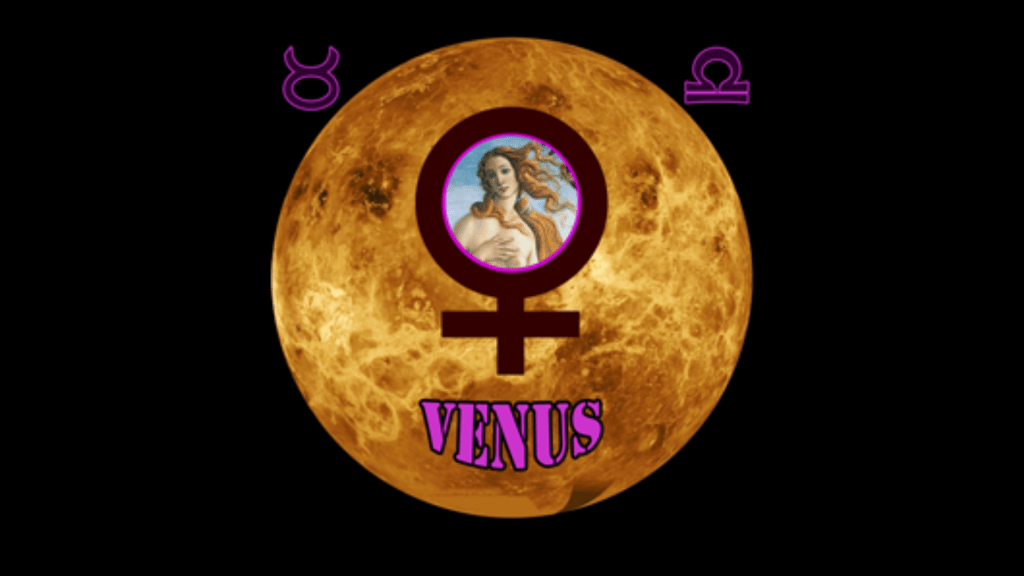 Venus Persona Chart