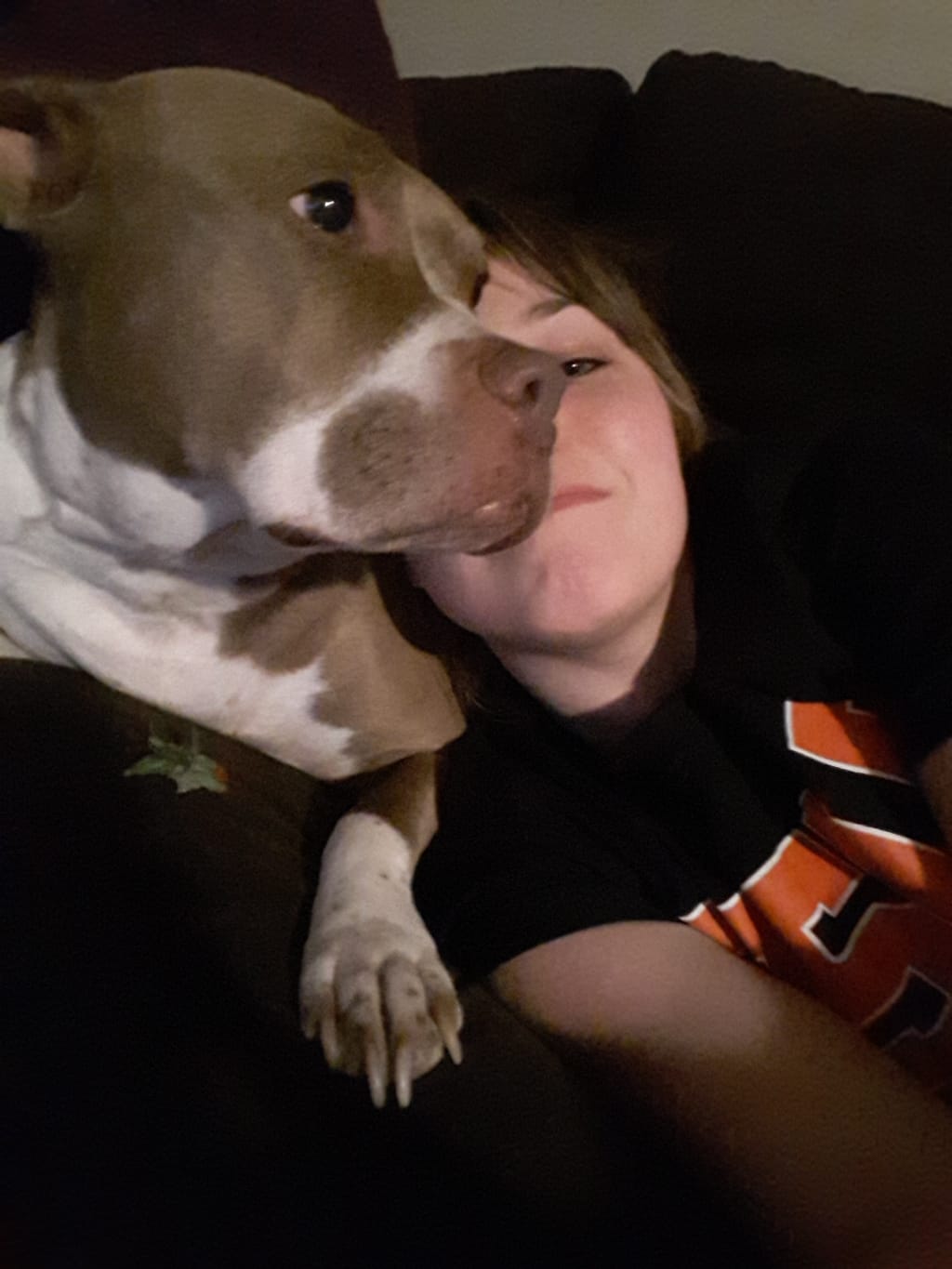 Cocoa Cocoa